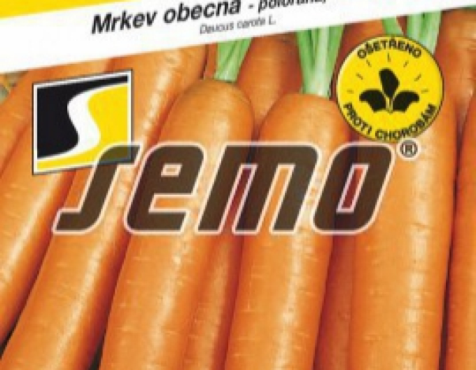 Semințe de morcov ´Carotina´