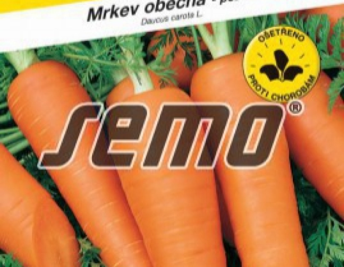 Semințe de morcov Carol