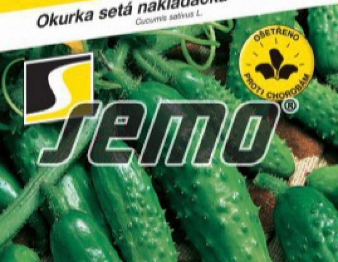 Semințe de castravete ´Blanka F1´
