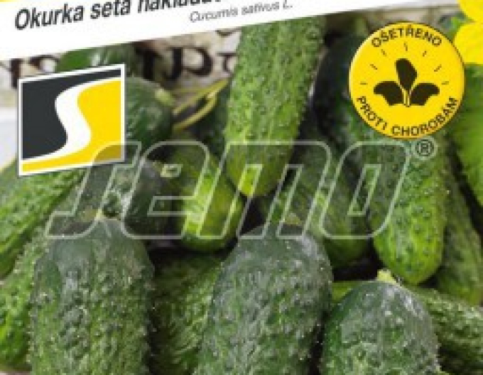 Semințe de castraveți ´Anya F1´