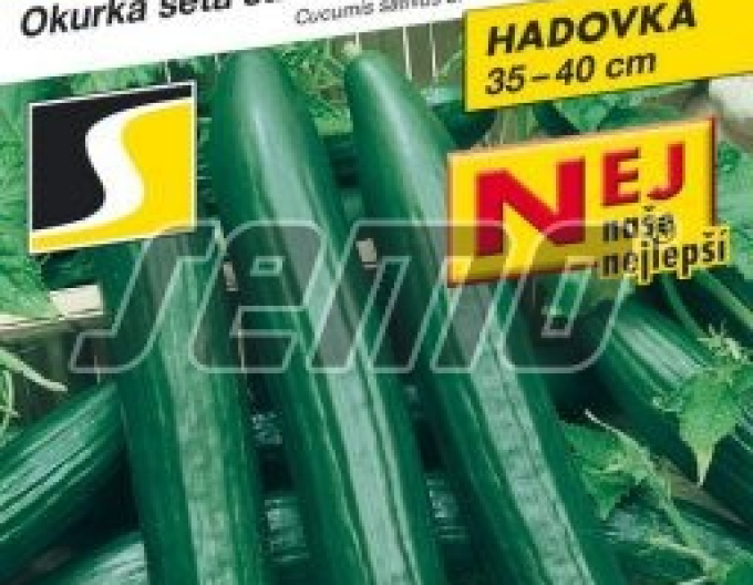 Semo Castravete cultivat pentru salată  ´Vista F1´