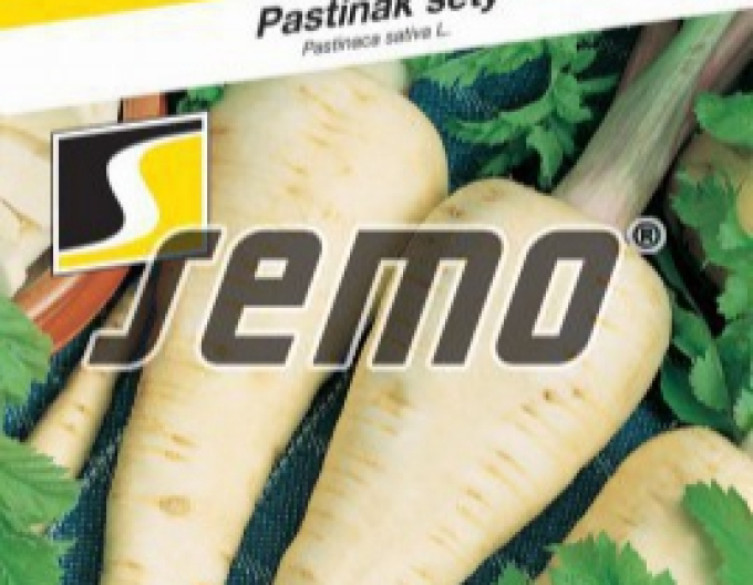 Semo Păstărnac ´White´