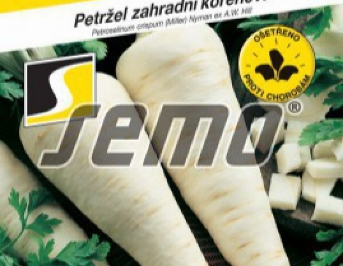 Semințe Pătrunjel de grădină - rădăcină ´Hanácká´