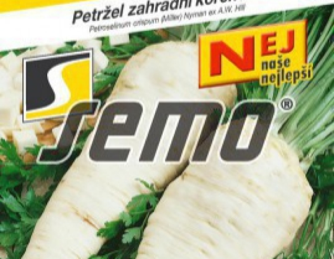 Semințe Pătrunjel de grădină - rădăcină ´Orbis´