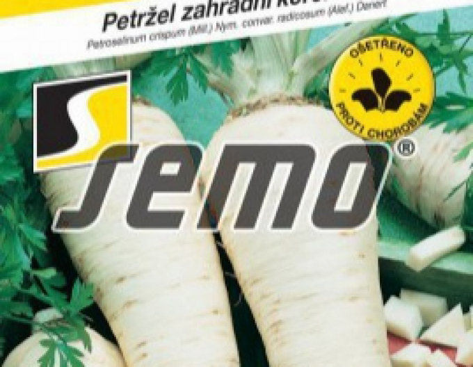 Semințe Pătrunjel de grădină - rădăcină ´Jadran´