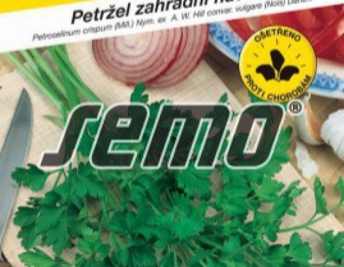 Semințe Pătrunjel pentru frunze´Festival 68´