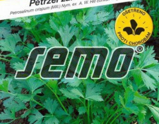 Semințe Pătrunjel grădină  ´Gigante D´Italia´