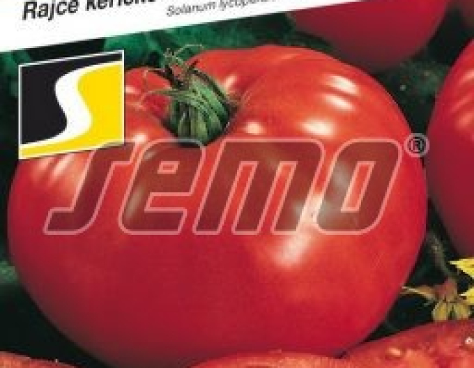 Semințe Tomate Pavlina