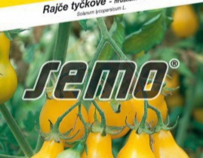 Semințe de tomate galbene Perun