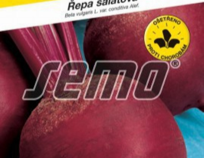 Sfeclă roșie semințe de sfeclă roșie ´Betina´