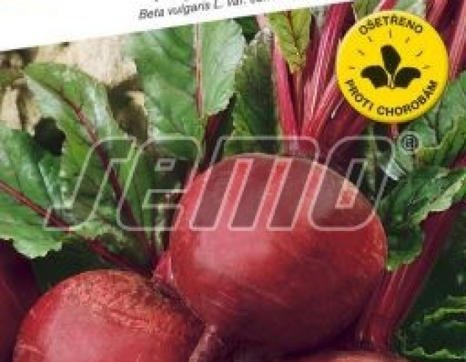 Semințe de sfeclă roșie ´Bikores´