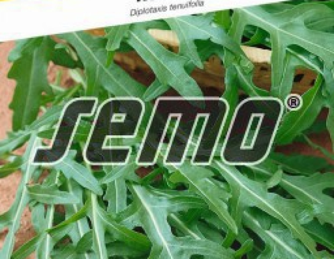 Semo Rucola cu frunze înguste "Wild rocket