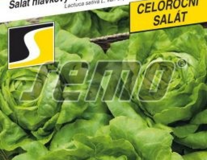 Salată  ´Kamenex´