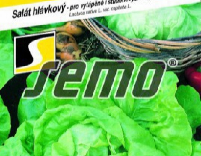 Salată ´Neferin´
