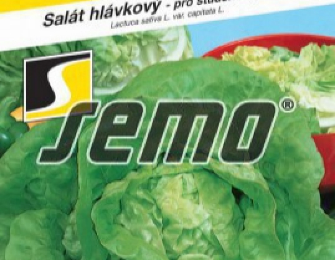 Semo Salată  ´Sapphire´