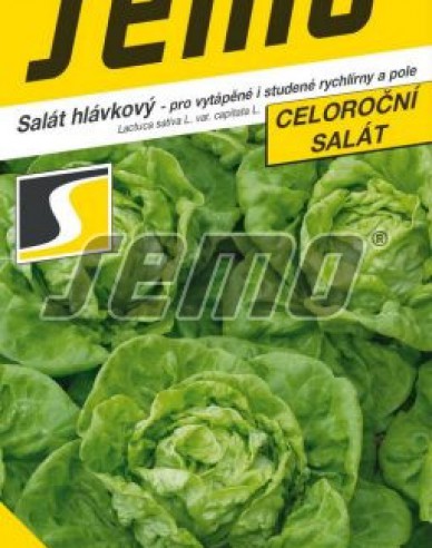 Semo Salată  ´Bremex´