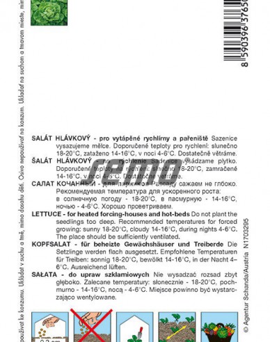 Semo Salată  ´Bremex´