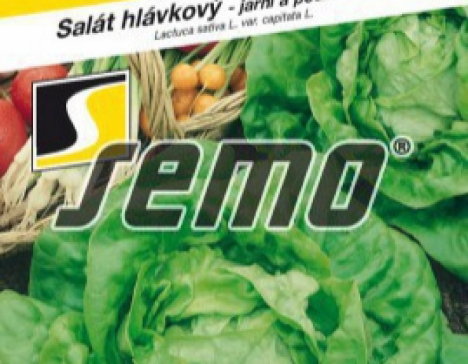 Semințe Salată de primăvară ´Major´