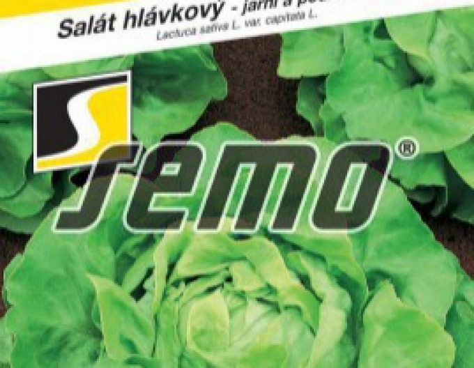 Semințe de salată ´Deon´