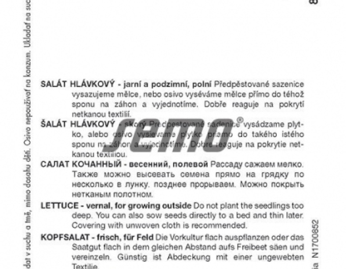 Semințe de salată ´Pharaon´