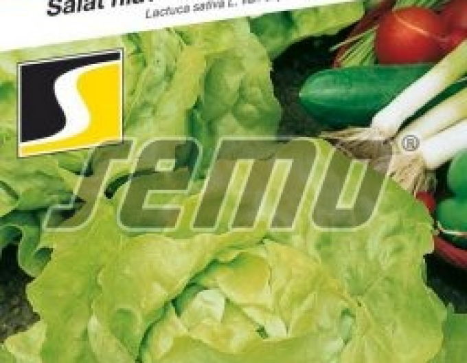 Semințe de salată ´Marathon´