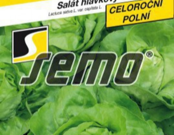 Semințe de salată ´Mercurion´