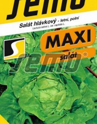 Semo Salată de vară ´Jupiter´