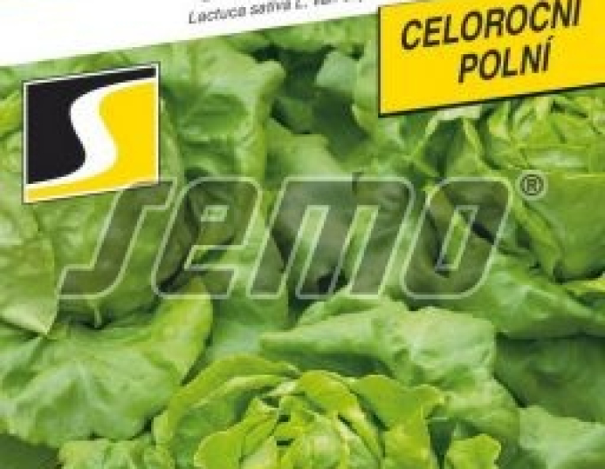 Semințe de salată Saturion