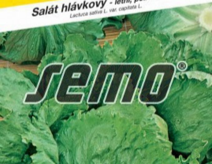 Semo Salată de vară Prazan