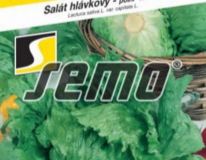 Semințe Salată de vară ´Maximo´