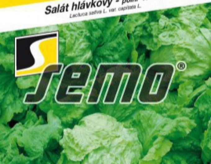 Semo Salată de vară ´Ledano´
