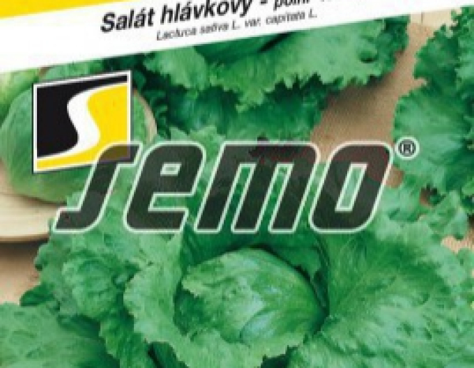 Semo Salată de vară ´Medimo´