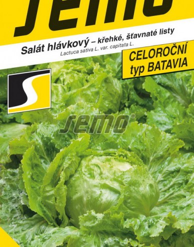 Semo Salată cu cap´Batavus´