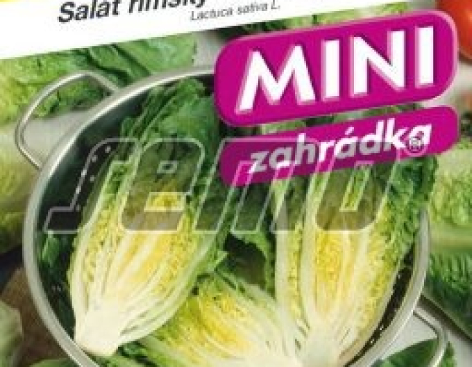 Semo Salată romană ´Little Gem´