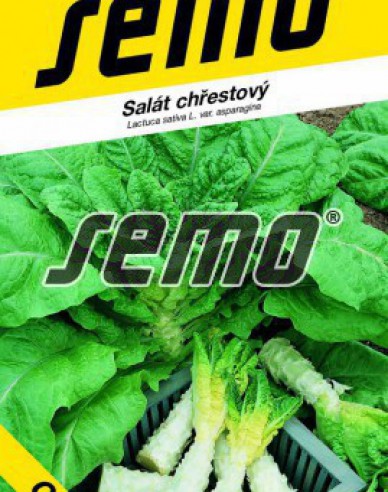 Semo Salată sparanghe ´Celtuce´