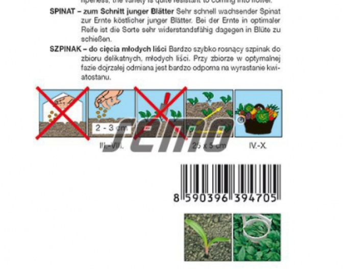 Semințe de spanac ´Harp F1´