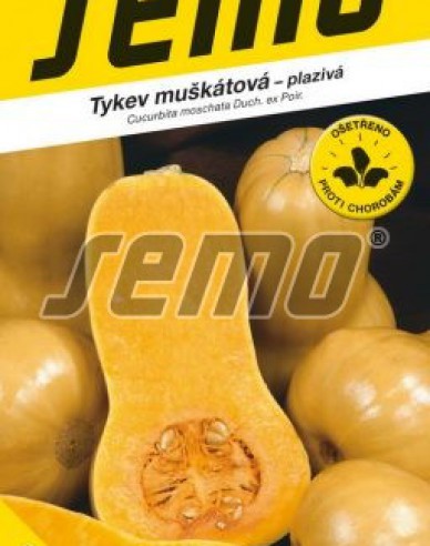 Semo Dovleac muscat ´Stella F1´