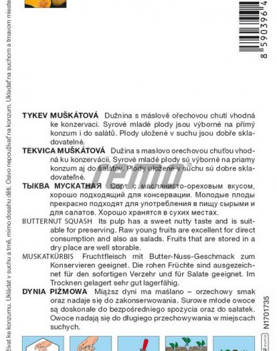 Semo Dovleac muscat ´Stella F1´