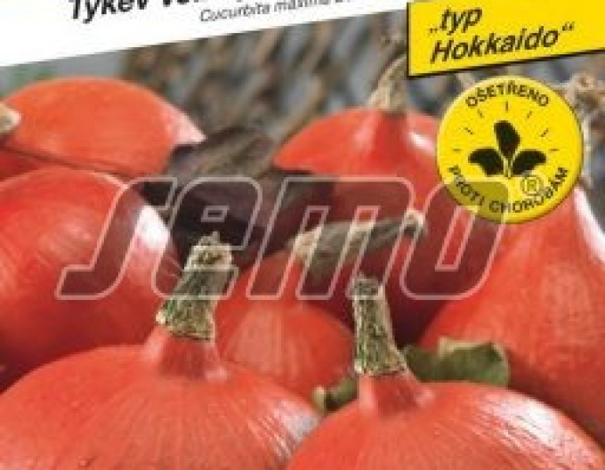 Semințe Dovleac gigant ´Soare F1´