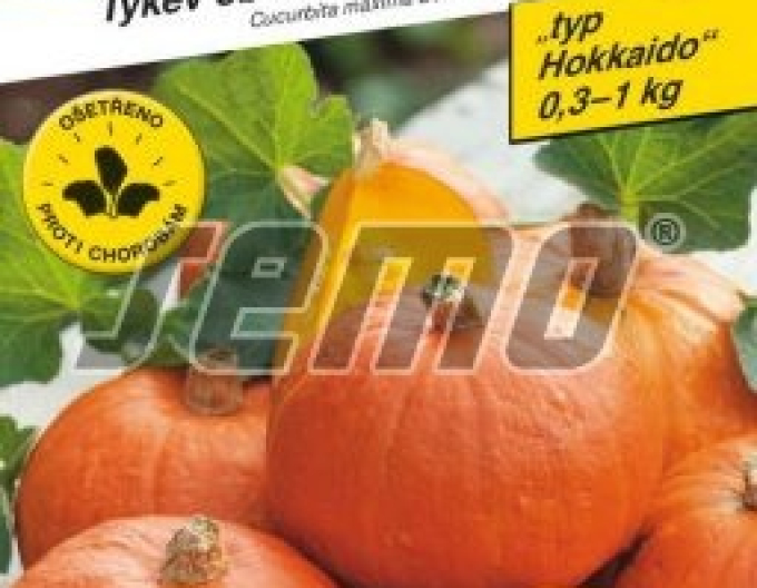 Semințe de dovleac Hokkaido ´Shokichi Red F1´
