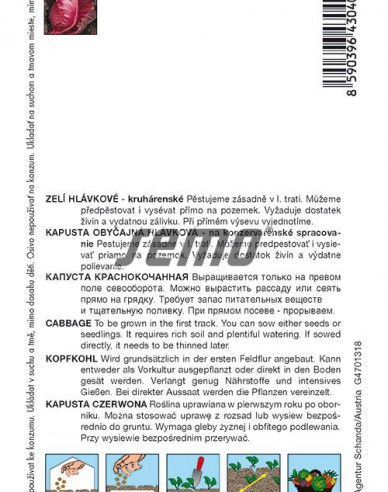 Semințe Varză roșie ´Kalibos´