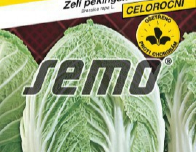 Semințe de varză ´Manoko F1´