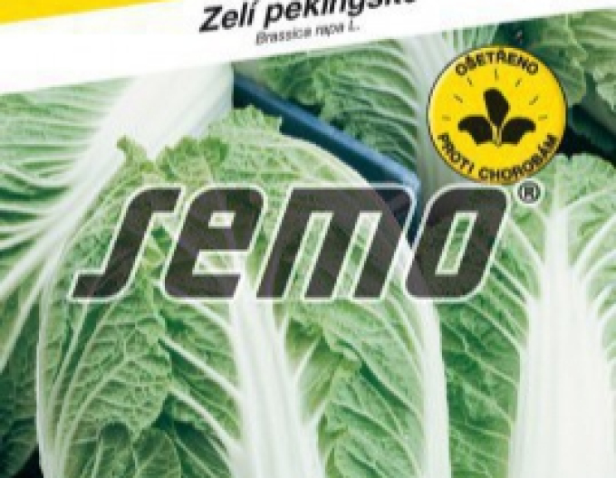 semințe de varză ´Parkin F1´