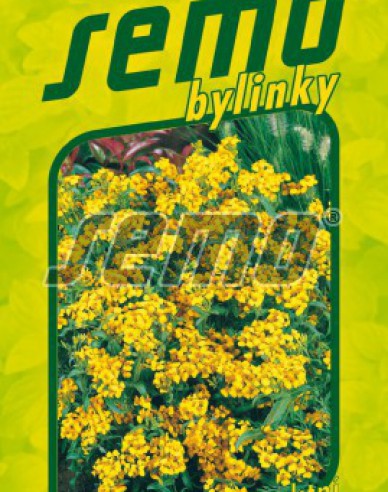 Semo Tagetes mexicană