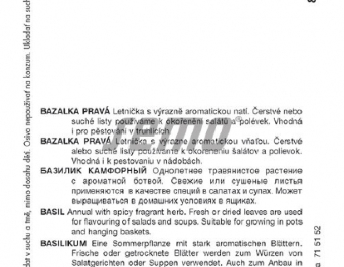 Semințe de busuioc Compact