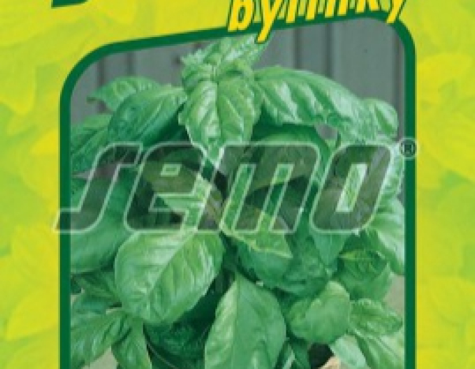 Semințe de busuioc Lettuce Leaf