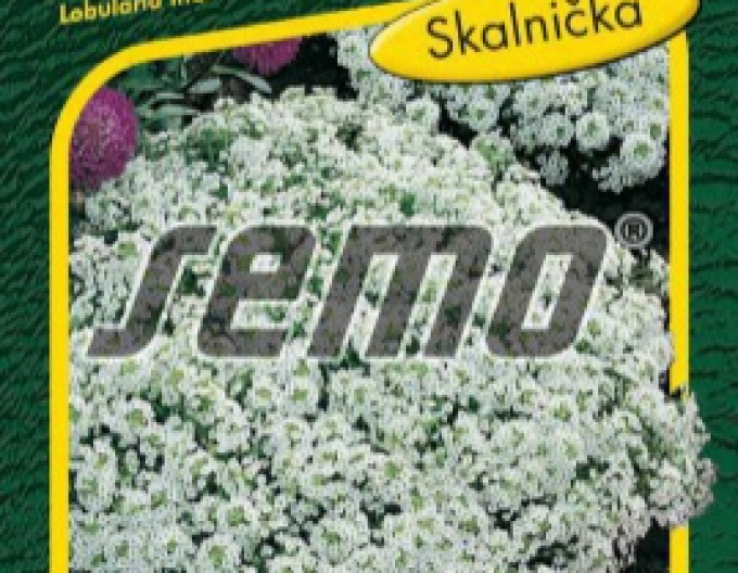 Seed Tarica litoral ´Corbeille d´Argent´