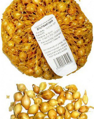 Ceapă pentru plantare ´Stutgartská´ 8/16 0,5kg