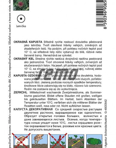 Semo semințe de varză ornamentală „Amestec de culori”