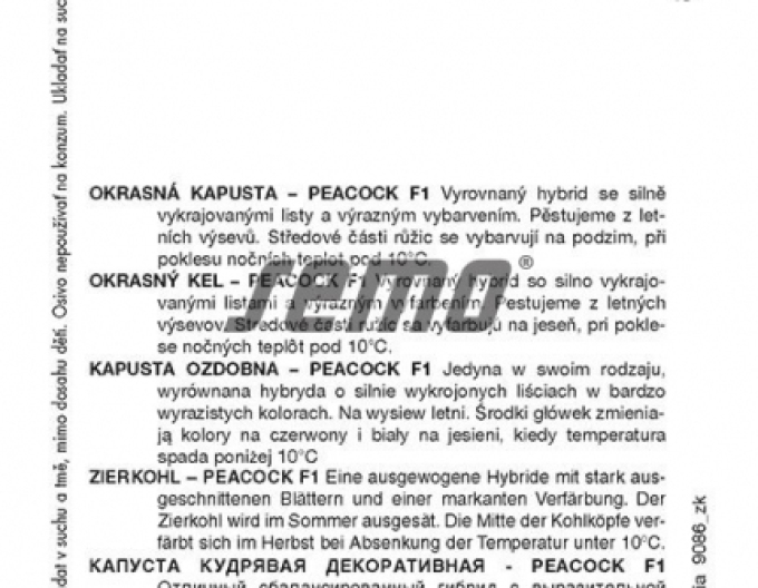 Semințe Kale ornamental Peacock F1 Mix